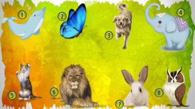 Tes Psikologi: Pilih Hewan dan Temukan Karunia Rohani Anda dan Cara Menggunakannya