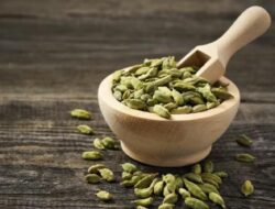 Dari Melawan Gigi Berlubang hingga Mendetoksifikasi Tubuh, Ini Manfaat Kapulaga bagi Kesehatan