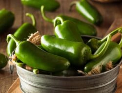 Cek di Sini, Berikut Ini Manfaat Kesehatan Cabai Gendot yang Tiada Duanya!