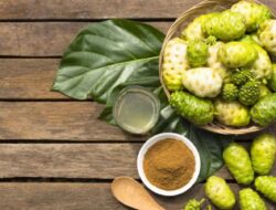 Minumlah Segelas Jus Buah Mengkudu Setiap Hari untuk Mendapatkan Kecantikan dan Kesehatan yang Awet Muda