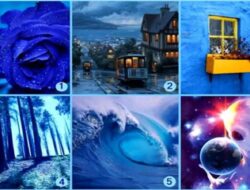 Tes Kepribadian: Tes Biru – Cari Tahu Tipe Lawan Bicara Anda dengan Memilih Gambar