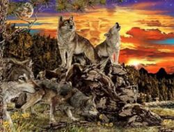 Tes Kepribadian: Temukan Hal-hal Baru tentang Diri Anda dengan Menebak Jumlah Serigala yang Terlihat