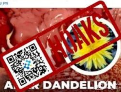 [HOAKS] Ekstrak Akar Dandelion Berkhasiat Bunuh Sel Kanker