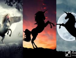 Tes Psikologi: Temukan Pesan Spiritualnya dengan Memilih Unicorn yang Paling Menarik Perhatian Anda