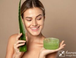 Apakah Lidah Buaya Benar-benar Bahan Ajaib yang Membantu Mengatasi Masalah Kulit dan Rambut Anda? Ini Penjelasannya
