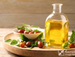 7 Alasan Mengapa Anda Perlu Menjadikan Minyak Jojoba Sahabat Terbaik Kulit Anda