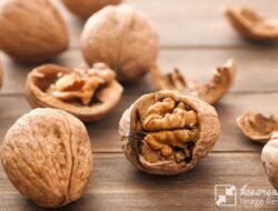 Cara Memaksimalkan Manfaat Kacang Kenari: Direndam atau Mentah? Ini Penjelasannya