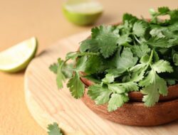 3 Alasan Mengapa Ketumbar adalah Makanan Terbaik untuk Membantu Tiroid Anda