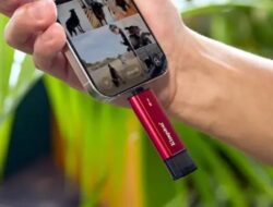 Kingston Meluncurkan Dual Portable SSD dengan Port USB-A/C, Kecepatan hingga 1050MB/dtk dan Penyimpanan 2TB