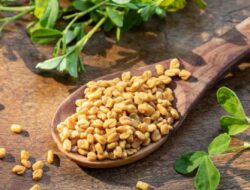 Dari Rambut hingga Diabetes: Temukan Keajaiban Biji Fenugreek untuk Kesehatan Anda!
