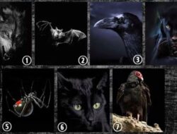 Tes Kepribadian: Pilih Hewan dan Ungkap Sisi Tersembunyi Anda