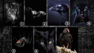 Tes Kepribadian: Pilih Hewan dan Ungkap Sisi Tersembunyi Anda