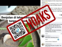 [HOAKS] Campuran Daun Belimbing Wuluh dan Kulit Manggis Sembuhkan Pembesaran Getah Bening di Leher