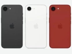 iPhone 17e akan Menyerupai iPhone 17 dengan Arah Tampilan Tanpa Notch