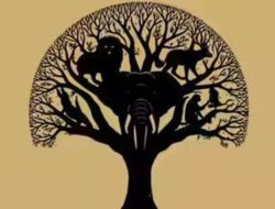 Tes Kepribadian: Ungkap Karakter Kepribadian Anda dari Gambar Pertama yang Dilihat