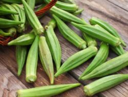 Tahukah Anda Okra dapat Mencegah Diabetes? Berikut 7 Manfaat Lain dari Sayuran Ini