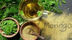 6 Alasan Kuat Mengapa Membutuhkan Bubuk Kelor Dalam Hidup Anda