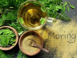 6 Alasan Kuat Mengapa Membutuhkan Bubuk Kelor Dalam Hidup Anda