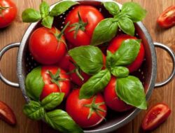 5 Manfaat Tomat yang Mungkin Belum Anda Ketahui