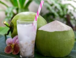 5 Alasan Meyakinkan Mengapa Air Kelapa Wajib Dikonsumsi Setiap Hari