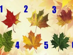 Tes Psikologi: Temukan Nasihat Apa yang Telah Disiapkan Takdir untuk Anda dengan Memilih Daun