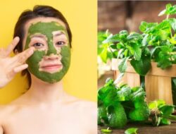 4 Cara Menggunakan Daun Mint untuk Kulit Agar Tampak Segar