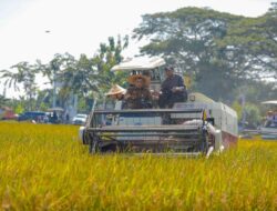 Kurun Waktu Tahun 2025, Produktivitas Pangan di Jawa Tengah Capai Target Nasional