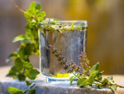 6 Manfaat Kesehatan Menambahkan Air Kemangi ke Dalam Air Minum Anda Setiap Hari