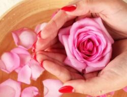 Buatlah Air Mawar Ajaib Ini di Rumah untuk Merasakan Manfaat Kecantikannya