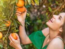 3 Alasan Mengapa Jeruk Mandarin Menjadi Makanan Terbaik untuk Kulit Bercahaya