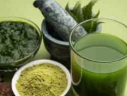 3 Masker Rambut Neem yang Dapat Anda Percaya untuk Mengatasi Ketombe dan Kulit Kepala Kering