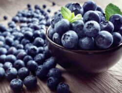 Buah Beri Baik untuk Otak Anda: Ketahui Bagaimana Blueberry Dapat Meningkatkan Kesehatan Otak