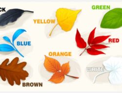 Tes Kepribadian: Pilih Daun Musim Gugur yang akan Membantu Orang Memahami Kepribadian Mereka dengan Lebih Baik