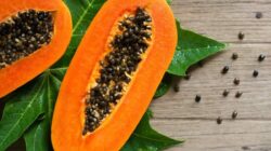 Biji Pepaya: 7 Manfaat Kesehatan yang Harus Anda Pertimbangkan Sebelum Membuangnya