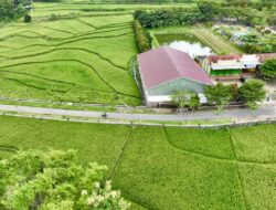 Data Indeks Desa 2025, Jumlah Desa Mandiri di Jateng Melonjak Capai 2.208