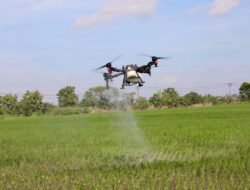 Pagari Sawah Demi Swasembada Pangan, Strategi Ini yang Diterapkan Pemprov Jateng