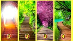 Tes Psikologi: Jalan Mana yang akan Anda Pilih? Simak Arti Pilihan Anda