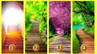 Tes Psikologi: Jalan Mana yang akan Anda Pilih? Simak Arti Pilihan Anda