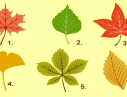 Tes Kepribadian: Temukan Definisi Kepribadian Anda dengan Memilih Daun Musim Gugur