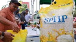 Bulog dan Kemenhaj Matangkan Rencana Ekspor Beras ke Arab Saudi