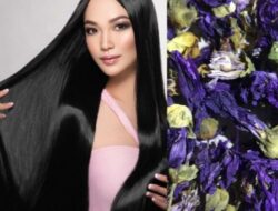 5 Manfaat Luar Biasa Bunga Malva Biru untuk Perawatan Rambut