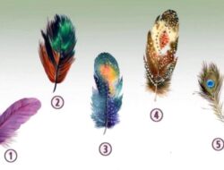 Tes Psikologi: Temukan Kekuatan Batin Anda dengan Memilih Bulu yang Paling Menarik Perhatian