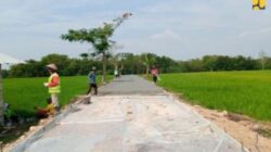 Kementerian PU Targetkan Bangun Irigasi 750 Ribu Hektare Tahun Ini untuk Perkuat Ketahanan Pangan