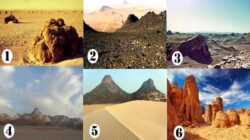 Tes Kepribadian: Pilih Lanskap Gurun dan Temukan Sesuatu yang Baru tentang Karakter Anda