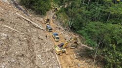 Percepat Pemulihan Akses Ruas Trans Papua Jayapura–Wamena, Kementerian PU Kerahkan 57 Alat Berat