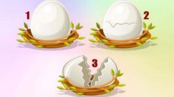 Tes Kepribadian: Temukan Apakah Anda Siap Mewujudkan Keinginan Hati dengan Memilih Telur
