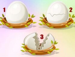 Tes Kepribadian: Temukan Apakah Anda Siap Mewujudkan Keinginan Hati dengan Memilih Telur