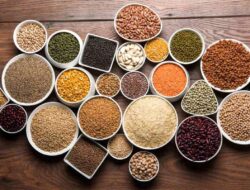 Tambahkan 4 Jenis Kacang-kacangan Ini Kedalam Diet Anda untuk Penurunan Berat Badan yang Lebih Cepat