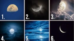 Tes Kepribadian: Pilih Bulan Favorit dan Temukan Tipe Kepribadian Anda