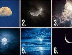 Tes Kepribadian: Pilih Bulan Favorit dan Temukan Tipe Kepribadian Anda